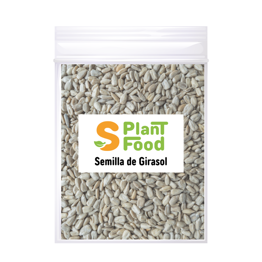 Girasol Pelado Semilla