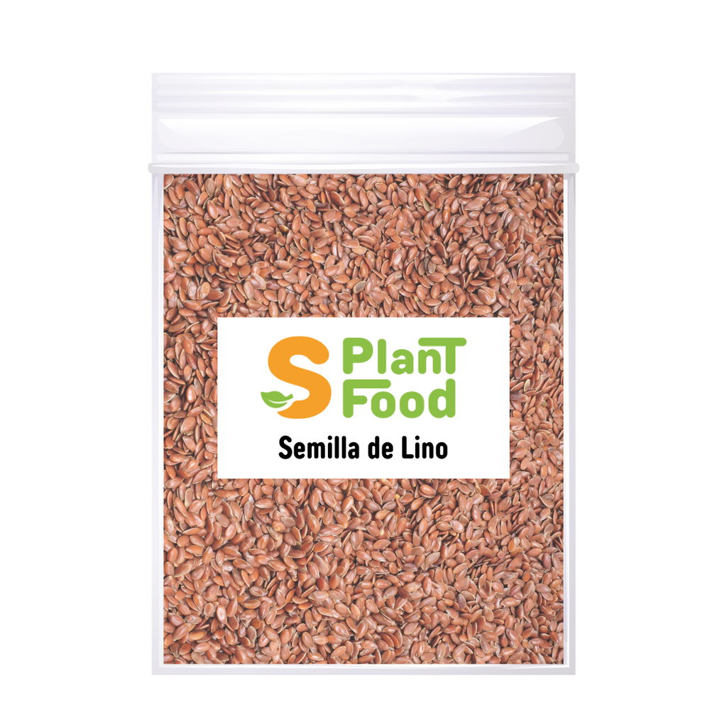 Lino Semilla