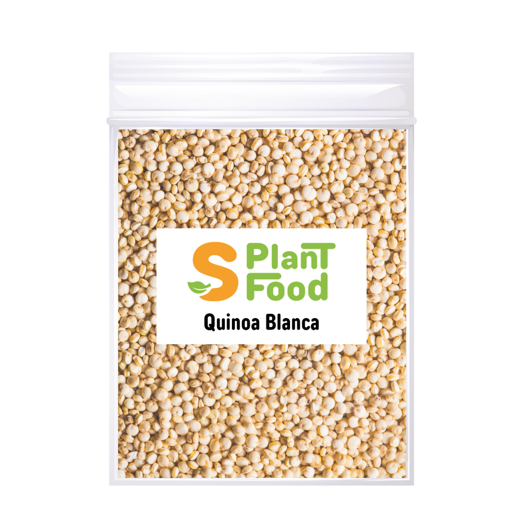Quinoa  Blanca Semilla